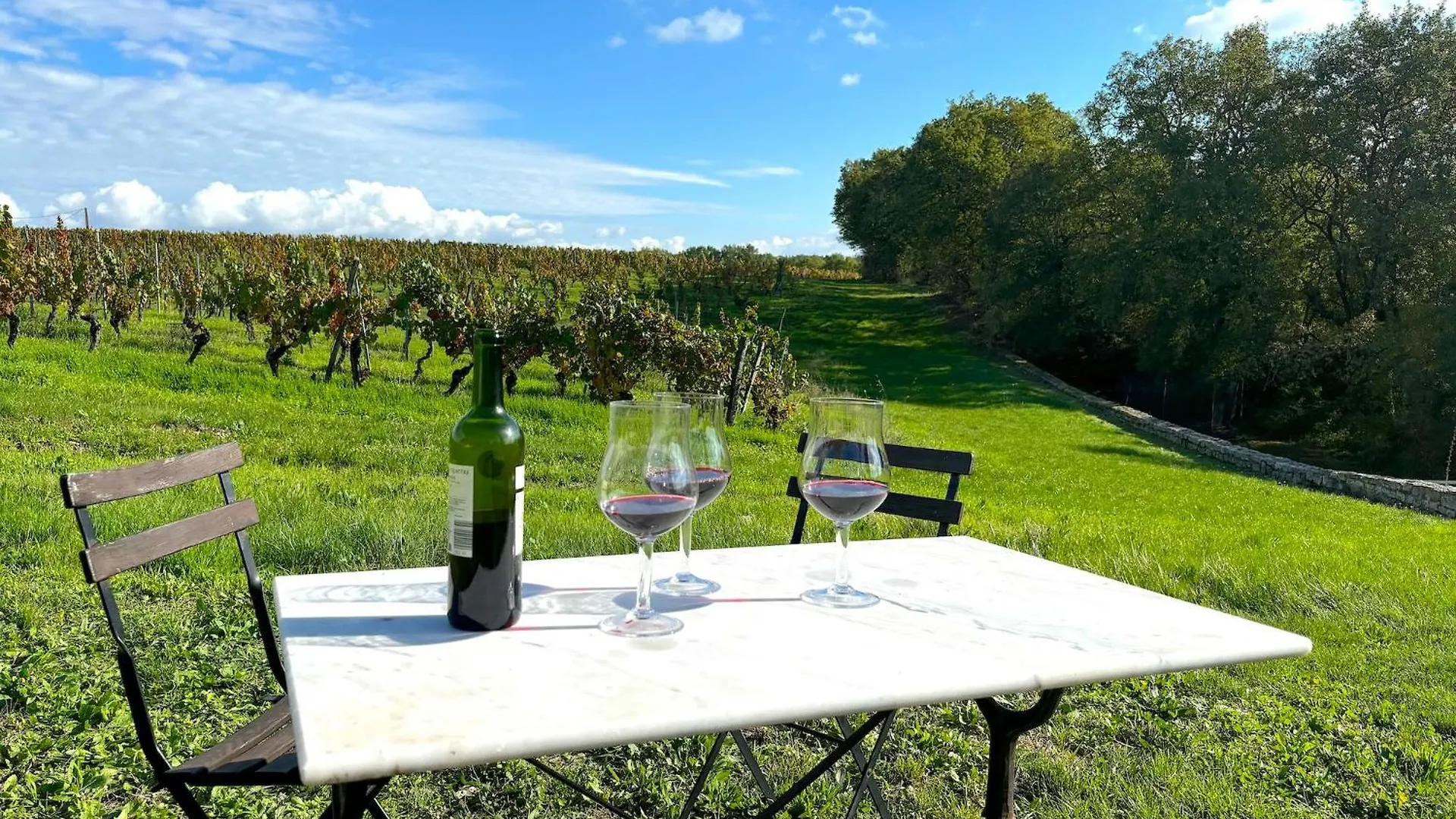 Domaine Coeur Des Vignes Villa Saint-Daunes Holiday home