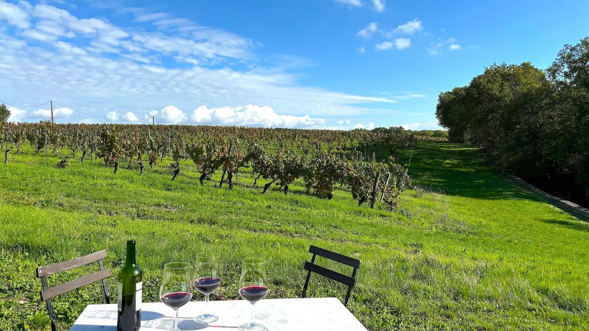 Domaine Coeur Des Vignes Villa Saint-Daunes 0*,