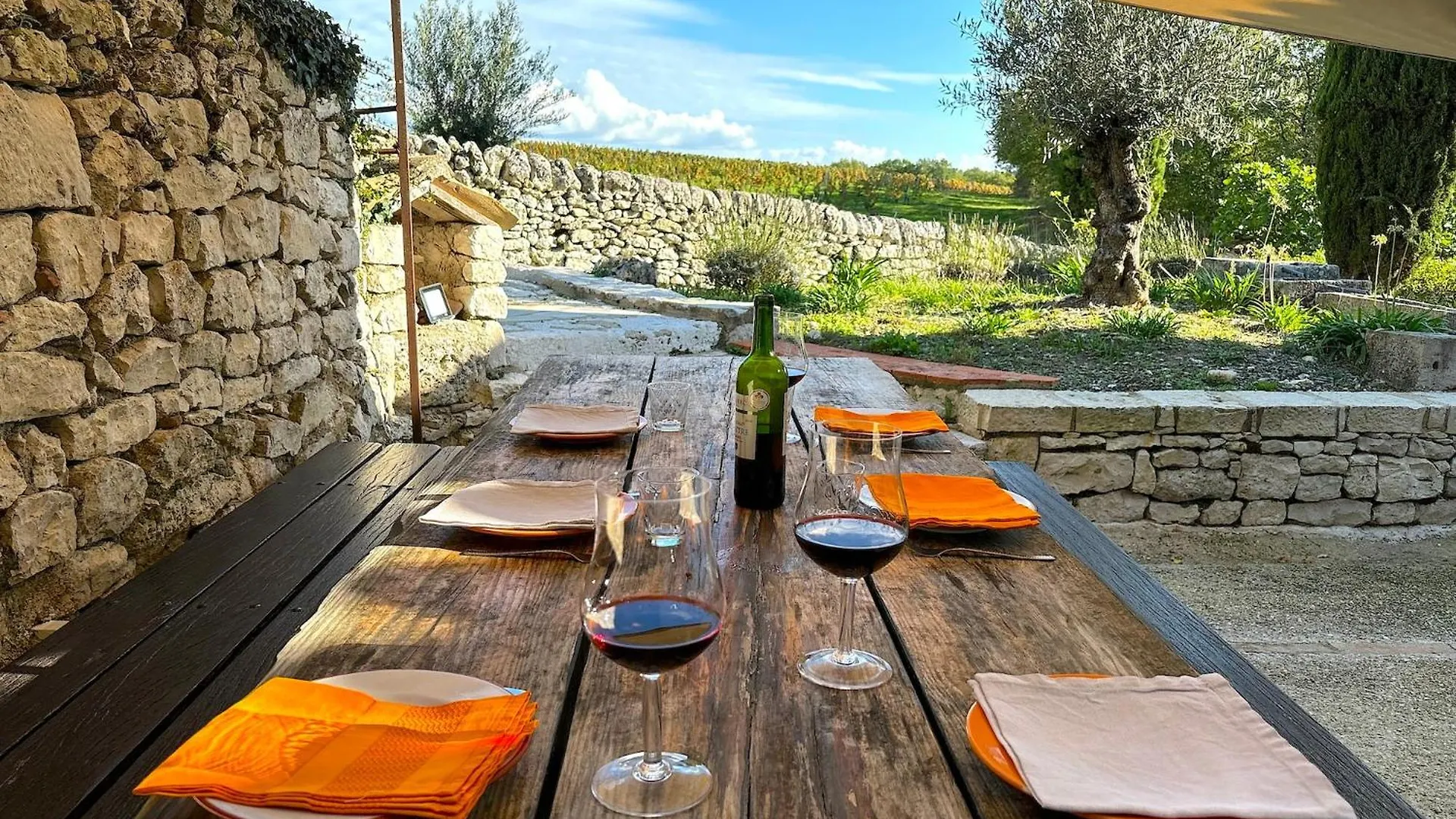 Domaine Coeur Des Vignes Villa Saint-Daunes Holiday home