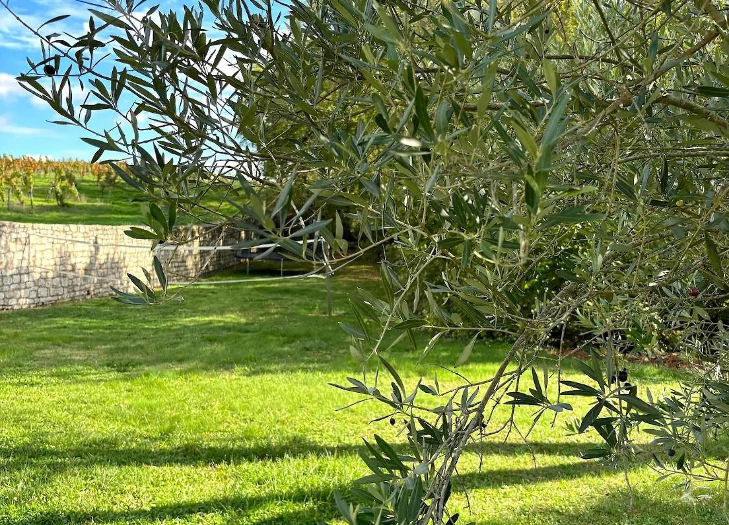 Holiday home Domaine Coeur Des Vignes Villa Saint-Daunes