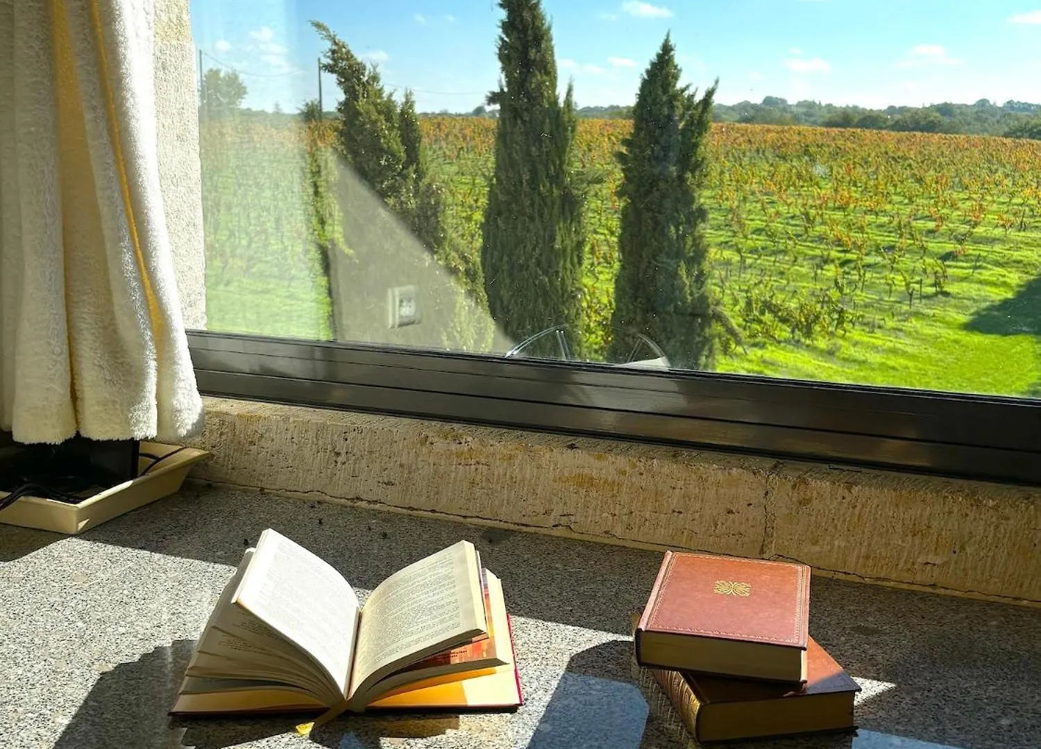 Domaine Coeur Des Vignes Villa Saint-Daunes Holiday home
